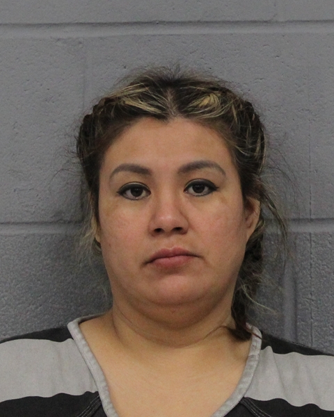 SANDABEL VASQUEZ booking photo