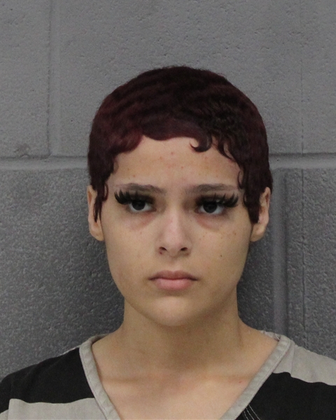 KIMORA FLOWERS booking photo
