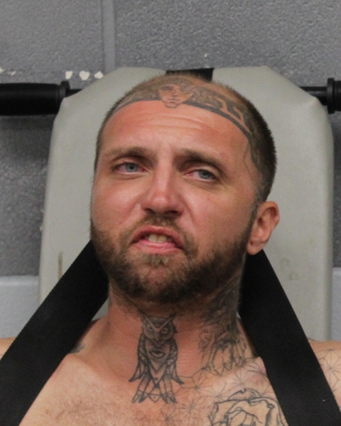 ROBERT TESTON booking photo