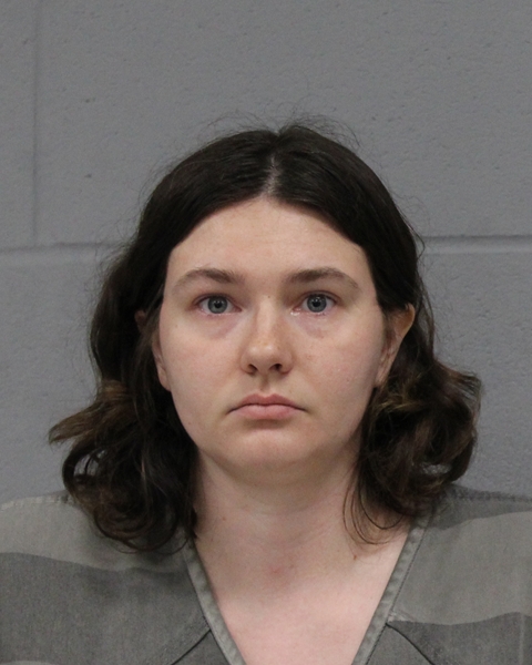 SAVANNA MCMAHILL booking photo