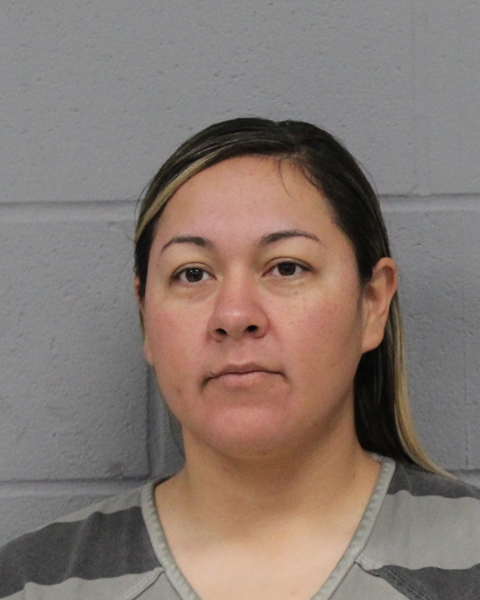 MARIA ESTRADA MARTINEZ booking photo