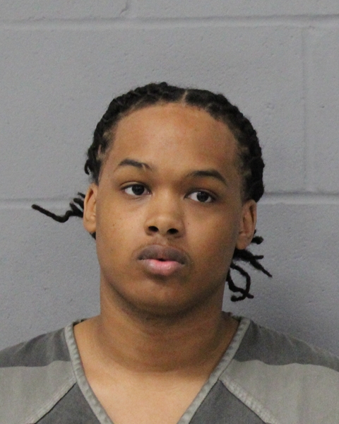 HOWARD LOVING booking photo