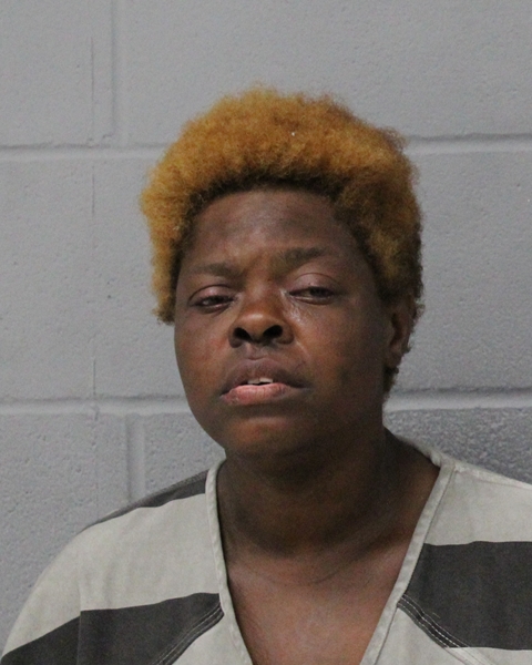 SHARIKA TURNER booking photo