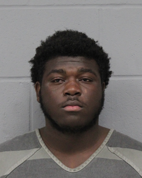 KRISTIN OGLESBY booking photo