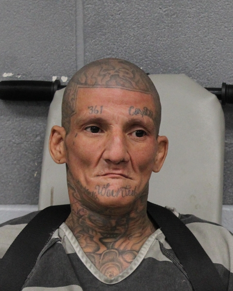 ERASMO VERDIN booking photo