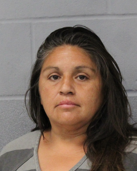 MERCEDES PESINA arrested by APD