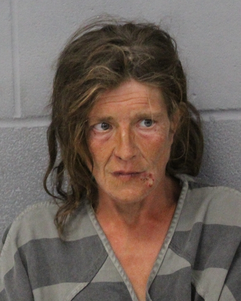SHERRY WALLES booking photo