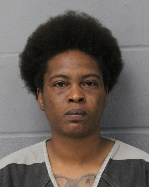 RONNIESHA DANIELS booking photo