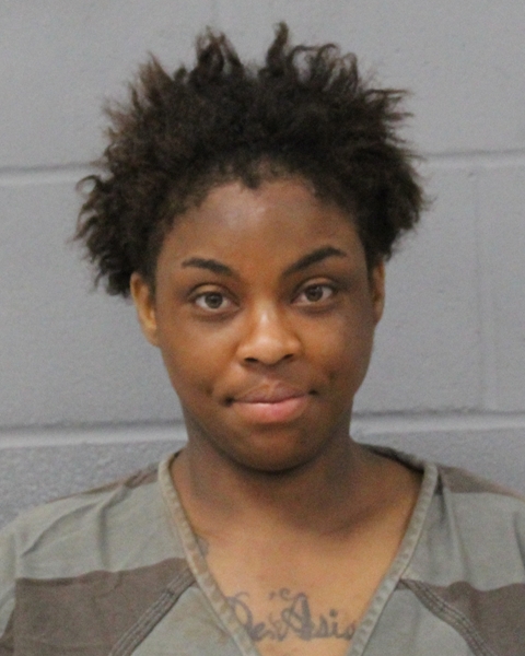 BRIANNA HOWARD booking photo