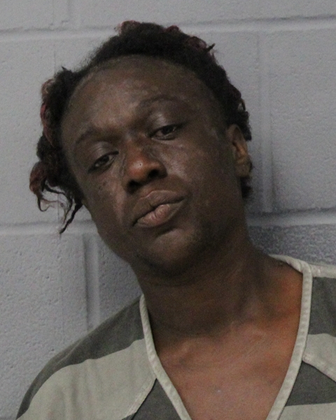 NICOLE BELL booking photo