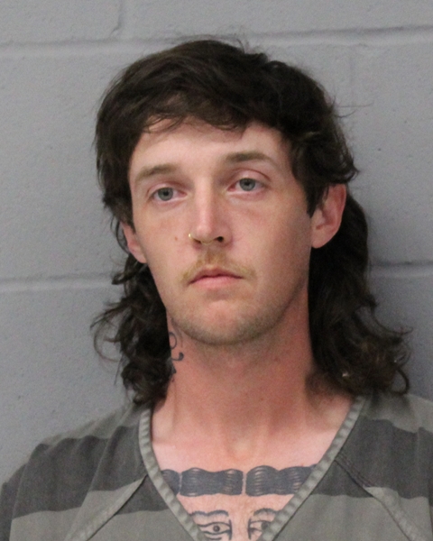 DYLAN WILKERSON booking photo