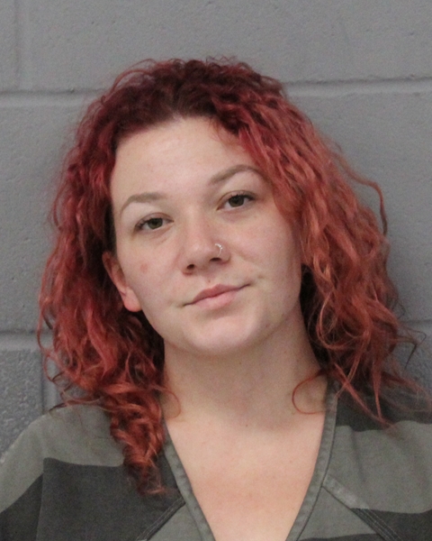 MICHAELENE DAVIS booking photo