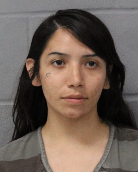 AVERIANA SANTOS booking photo