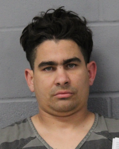 FELIX DELVALLIN-MONTANO booking photo