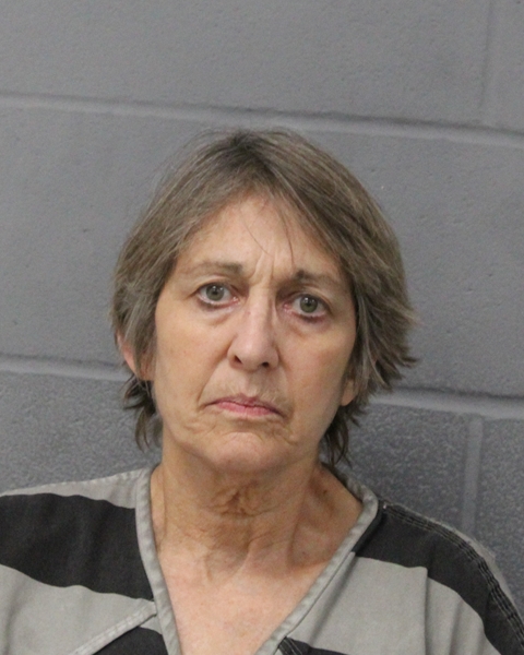 MICHELLE THOMPSON booking photo