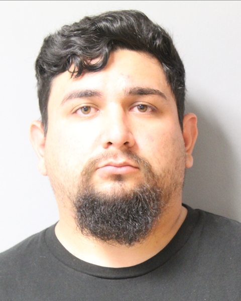 SEBASTIAN FRANCOIS-JAIMES booking photo