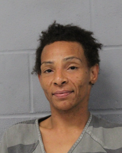 NICOLE HULL arrested by APD