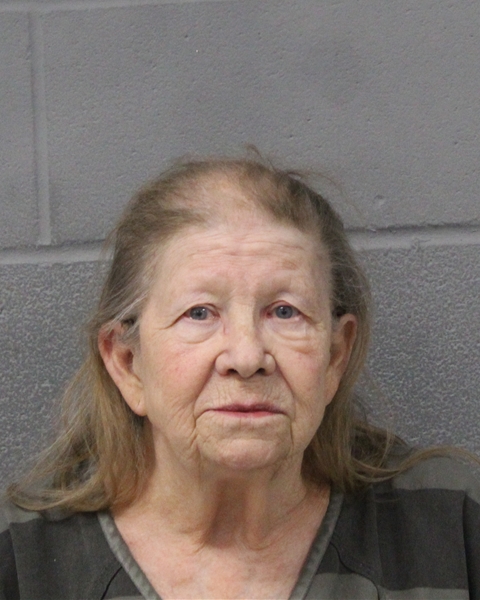 GAYLE WEBB booking photo
