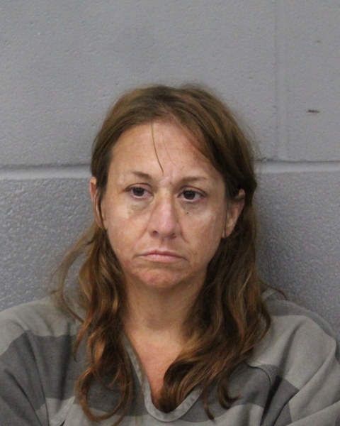 AMANDA POHLMAN booking photo