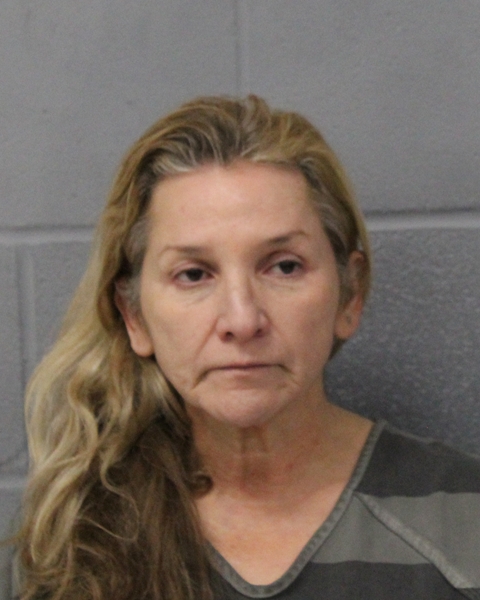 ELIZABETH MOLINA booking photo