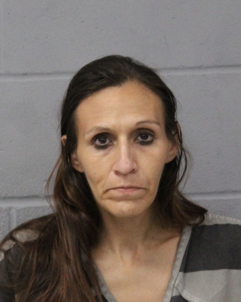 DANIELLE GONZALES booking photo