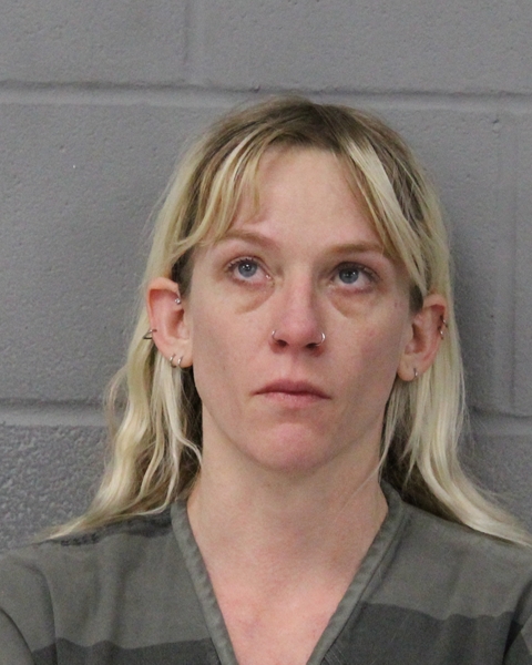 MICHELLE MORGAN booking photo