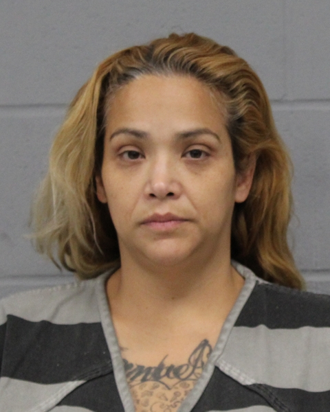 LAURA MENDEZ booking photo
