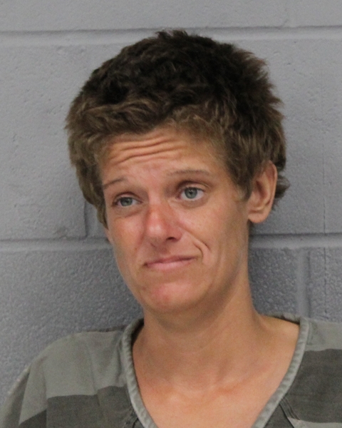 GIGI GEORGE booking photo