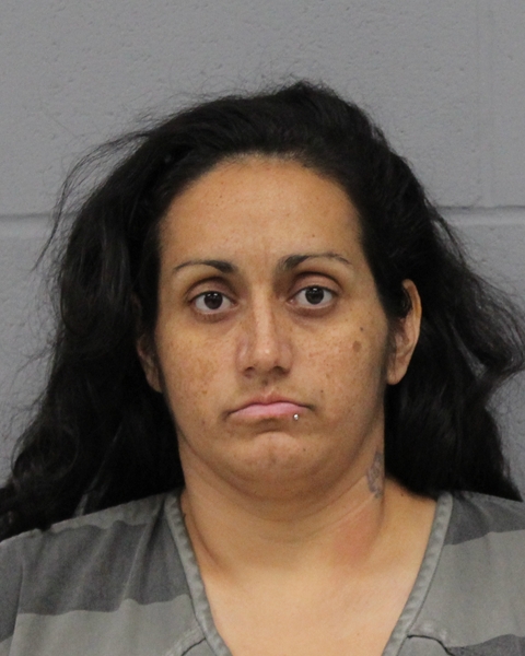 TARA MCINTOSH booking photo