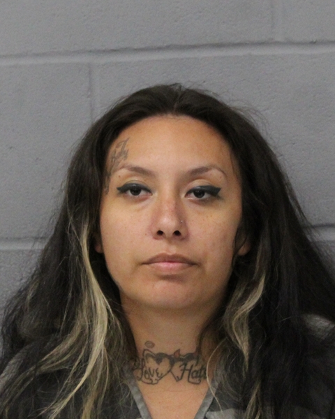 KAYLAN BARRETO booking photo