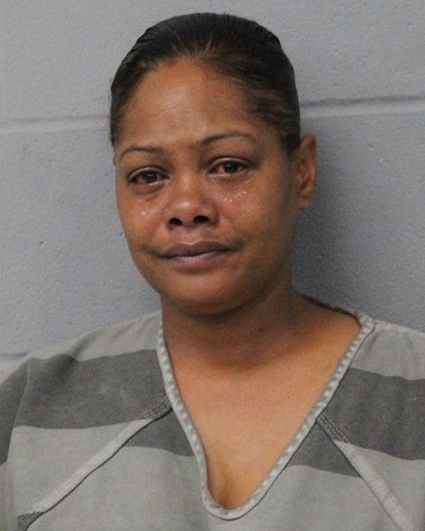 MELISHA FISHER booking photo