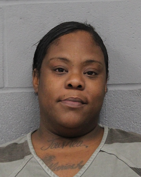 MARIESHA STEVENSON arrested by APD