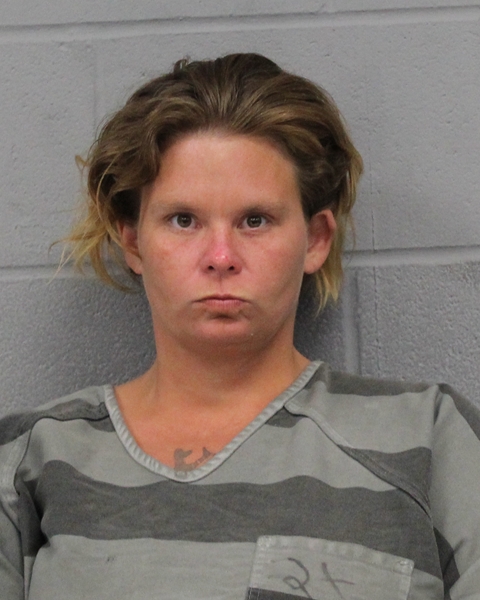 CHRISTINA MCINVALE booking photo