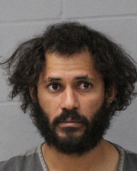 FRANCISCO MEJIA SANDIVAL booking photo