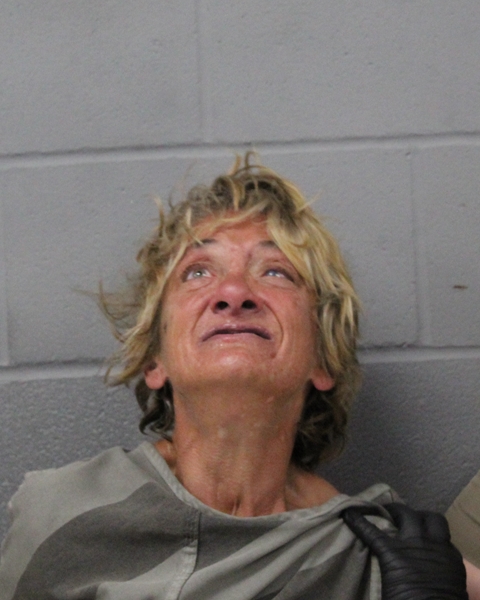 LISA LANIER booking photo