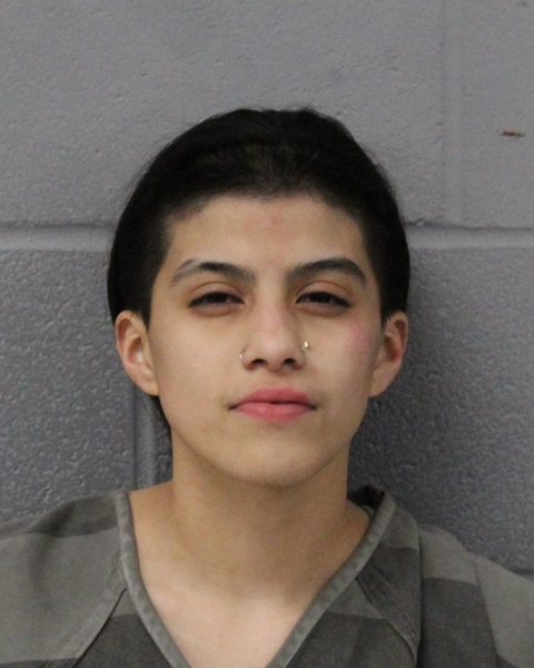 VIVIANA DELGADILLO arrested by APD