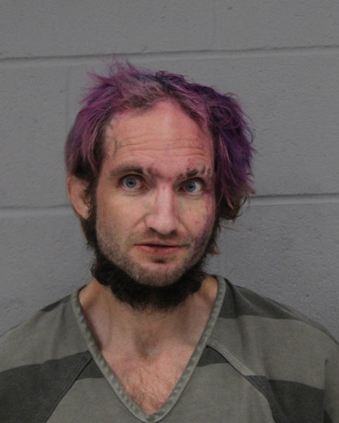 DAMON HORNER arrested by APD