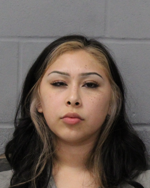ALENA ALVARADO booking photo