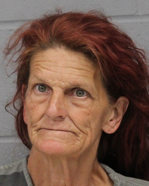 LINDA DOOLEY booking photo