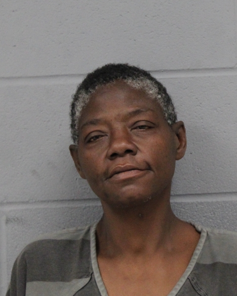 DEBRA DOVE booking photo