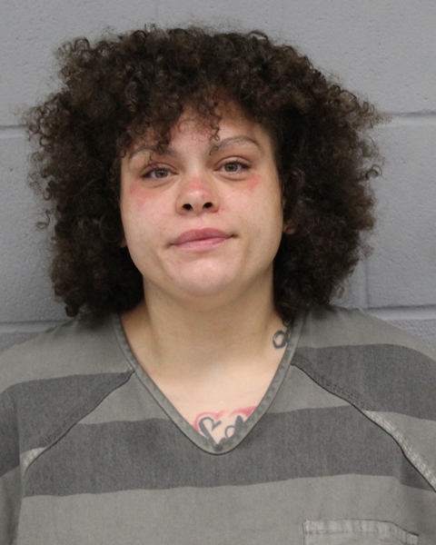 ASHLEY WILSON booking photo