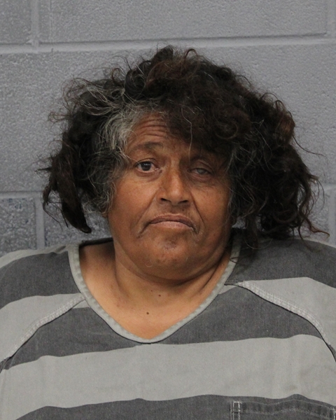 JANIE BARRON booking photo