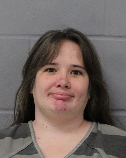 CHRISTINA METZGER booking photo