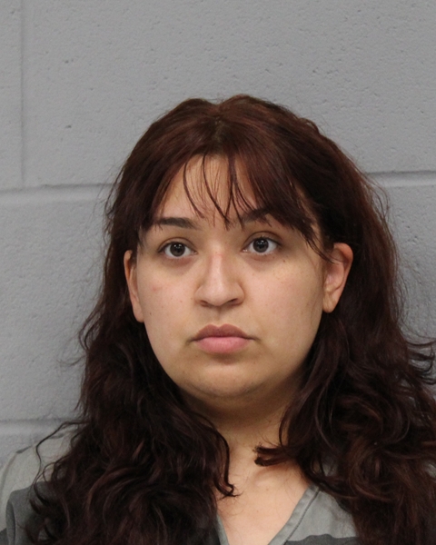 NOEMI PONCE booking photo