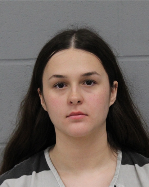 SARAH COHN booking photo