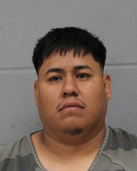 DANIEL VARELA ESTRADA booking photo