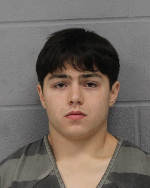 GAVIN PLESS booking photo