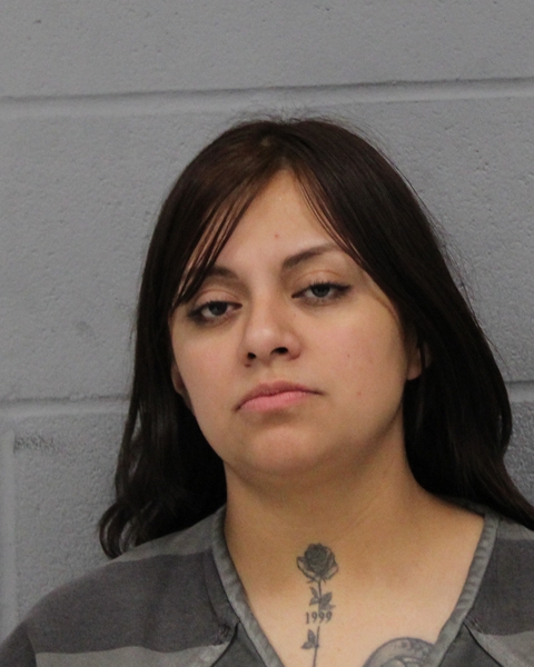ROSA MARTINEZ- RODRIGUEZ booking photo