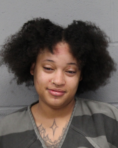 EMILY DAVIS booking photo