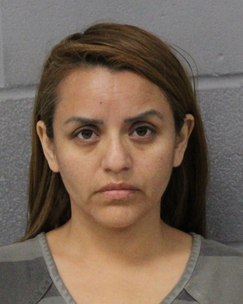 ALEJANDRA VALLE PEREZ booking photo